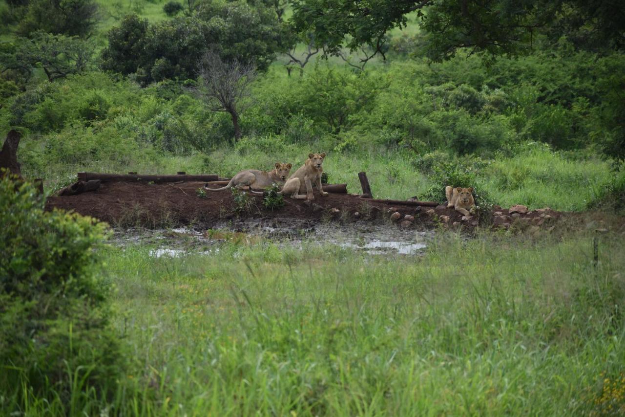 African Spirit Game Lodge Mkuze Exterior foto